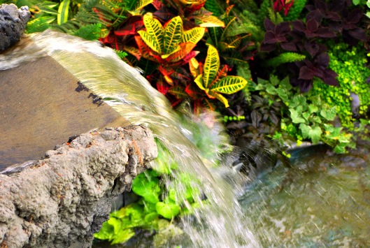 Backyard Waterfalls